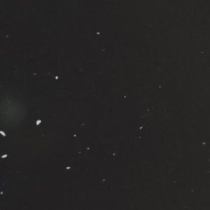 Meet your Posher, Lexi